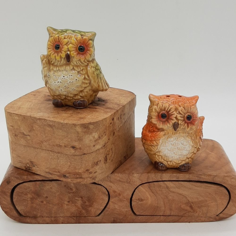 Boy & Girl Owl Salt & Pepper Shakers multi color